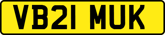 VB21MUK