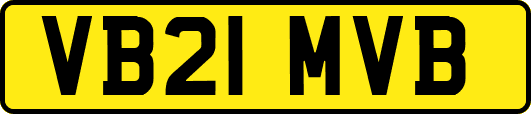 VB21MVB