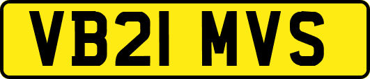 VB21MVS