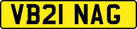 VB21NAG