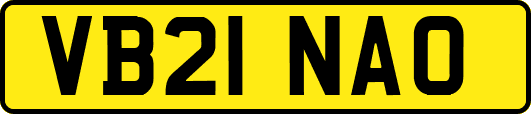 VB21NAO