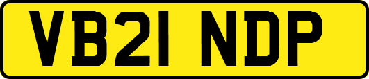VB21NDP