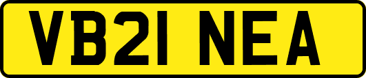 VB21NEA