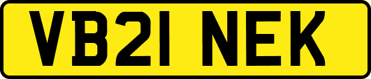 VB21NEK