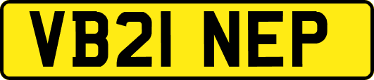 VB21NEP