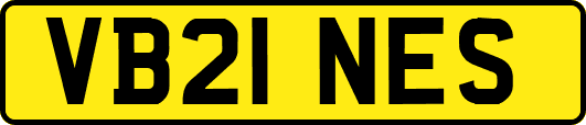 VB21NES