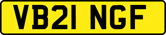 VB21NGF