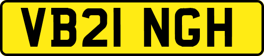 VB21NGH