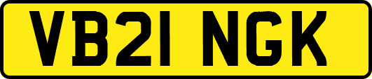 VB21NGK