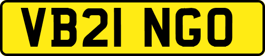 VB21NGO