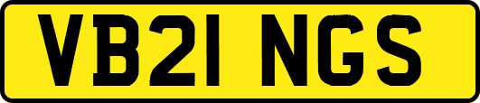 VB21NGS