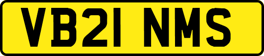 VB21NMS