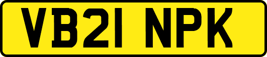 VB21NPK
