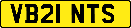 VB21NTS