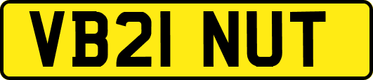 VB21NUT