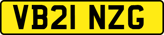 VB21NZG