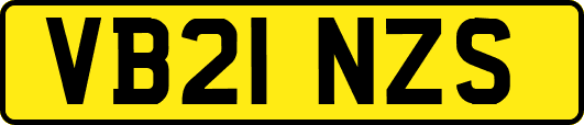 VB21NZS