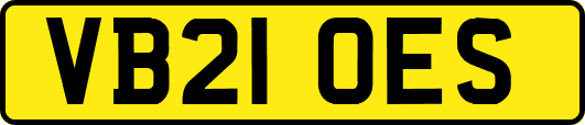 VB21OES