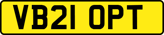 VB21OPT