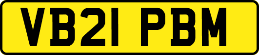 VB21PBM