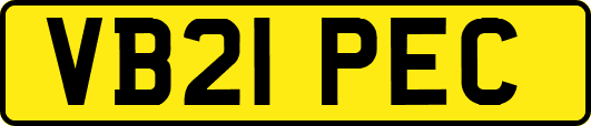 VB21PEC