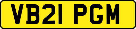 VB21PGM