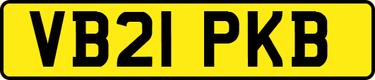 VB21PKB