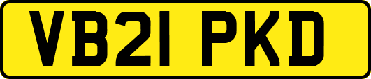 VB21PKD