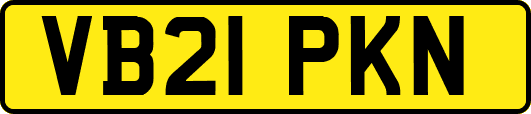 VB21PKN