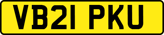 VB21PKU