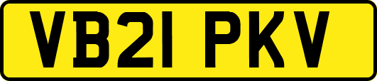 VB21PKV