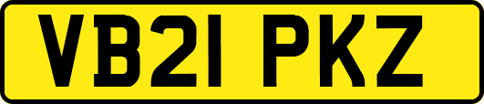 VB21PKZ