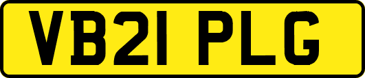 VB21PLG