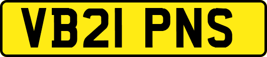 VB21PNS