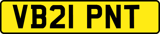 VB21PNT
