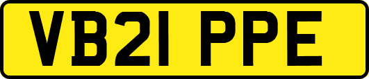 VB21PPE