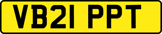 VB21PPT