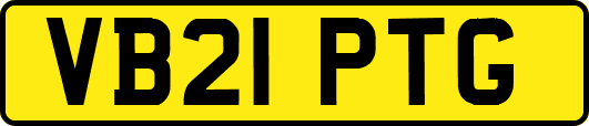 VB21PTG