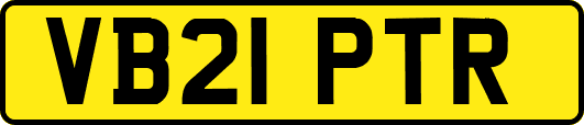 VB21PTR