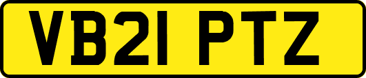 VB21PTZ