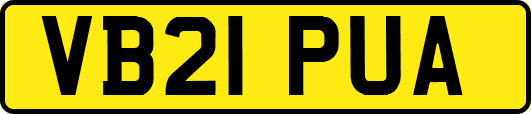 VB21PUA