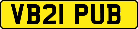 VB21PUB