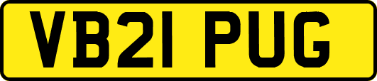 VB21PUG