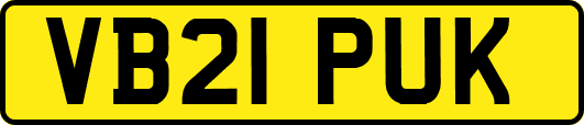 VB21PUK