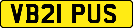 VB21PUS