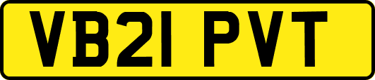 VB21PVT
