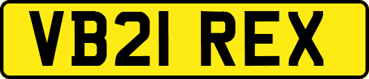 VB21REX