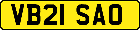 VB21SAO