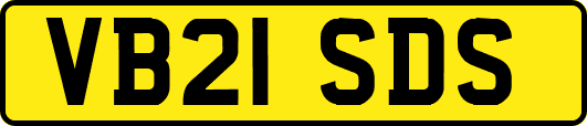 VB21SDS