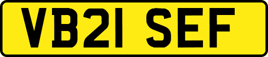VB21SEF